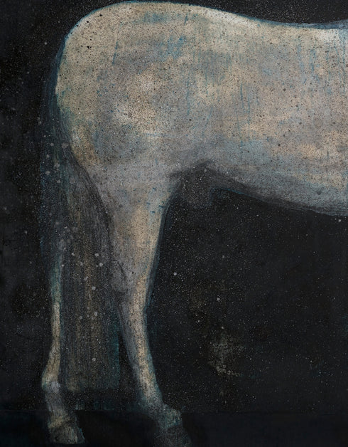 Horse | Limited Edition Prints